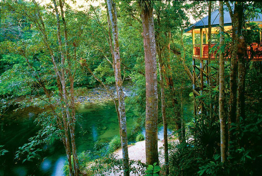 Silky Oaks Lodge Mossman Exterior foto